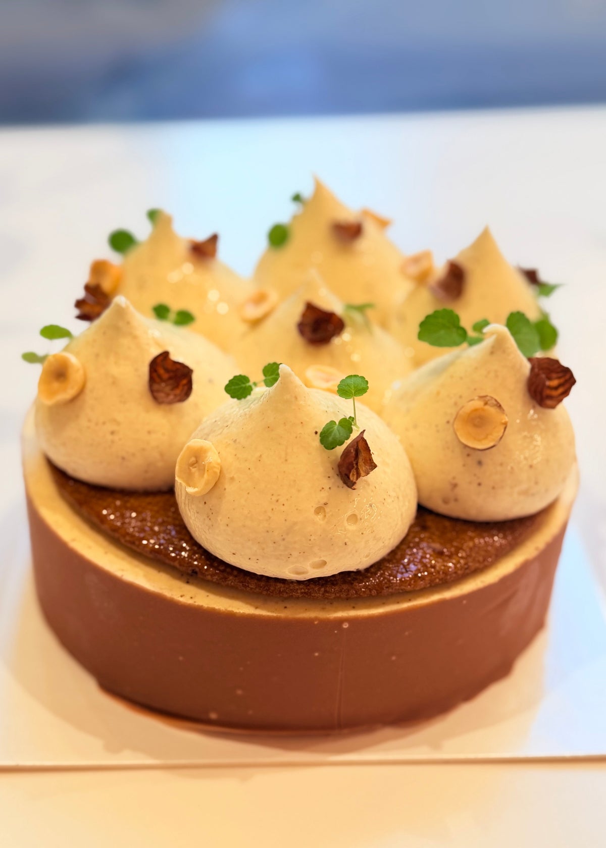 100% noisette grand format