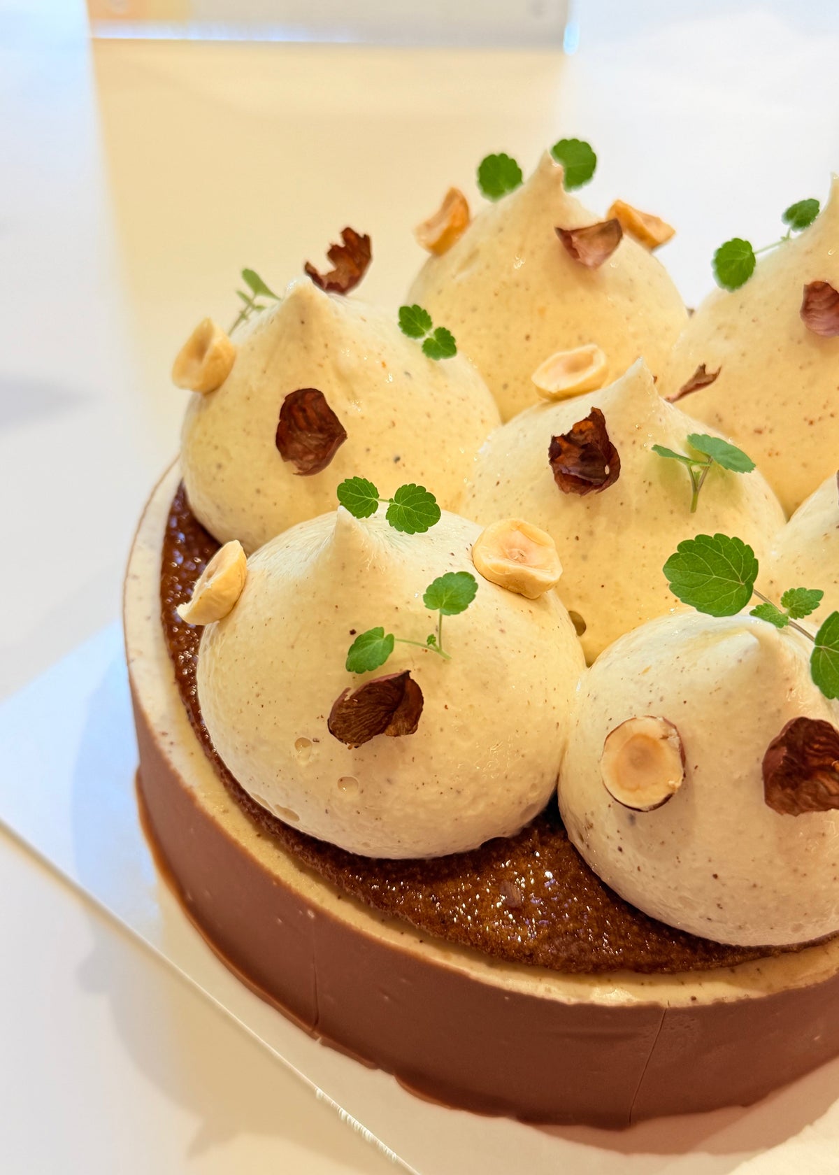 100% noisette grand format